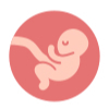 Embryo