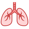 Lung