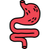 internist